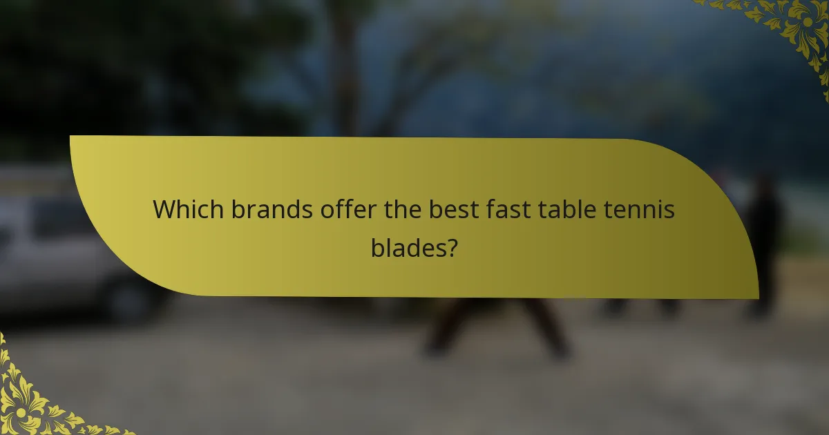 Which brands offer the best fast table tennis blades?