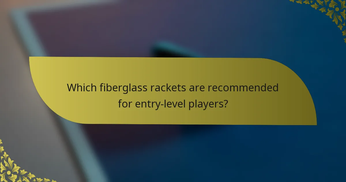 Which fiberglass rackets are recommended for entry-level players?